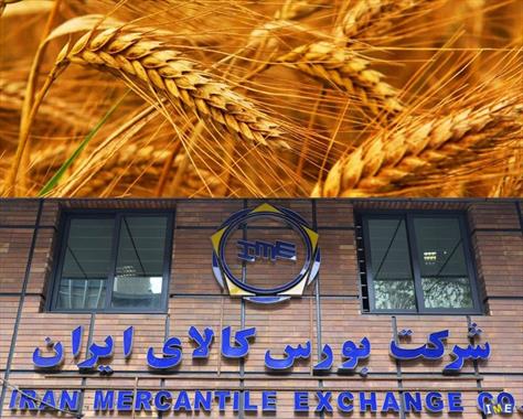چرخش پول گندم در زنجیره تولید با عرضه در بورس کالا