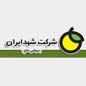 بررسی و نقد گزارش تفسیری شرکت شهد ایران