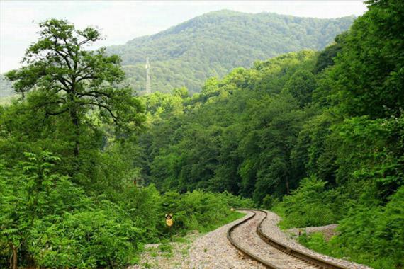 بازگشت سرمایه بخش‌خصوصی در ریل از محل صرفه‌جویی سوخت
