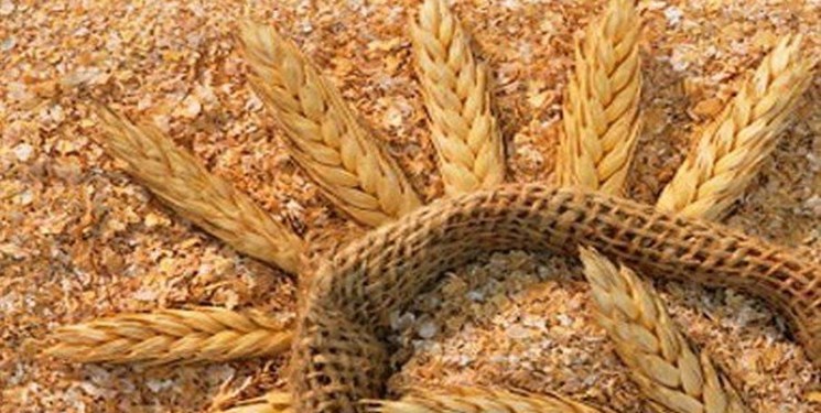 قیمت سبوس گندم ۱۲۵۰ تومان تعیین شد